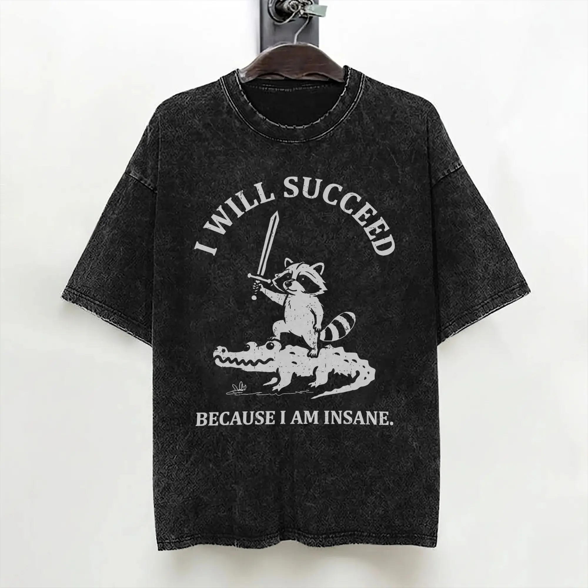 I Will Succeed Because I Am Insane Jimothy Viral Raccoon T Shirt Hip Hop Washed Harajuku T-Shirts  Vintage Men Streetwear Tees