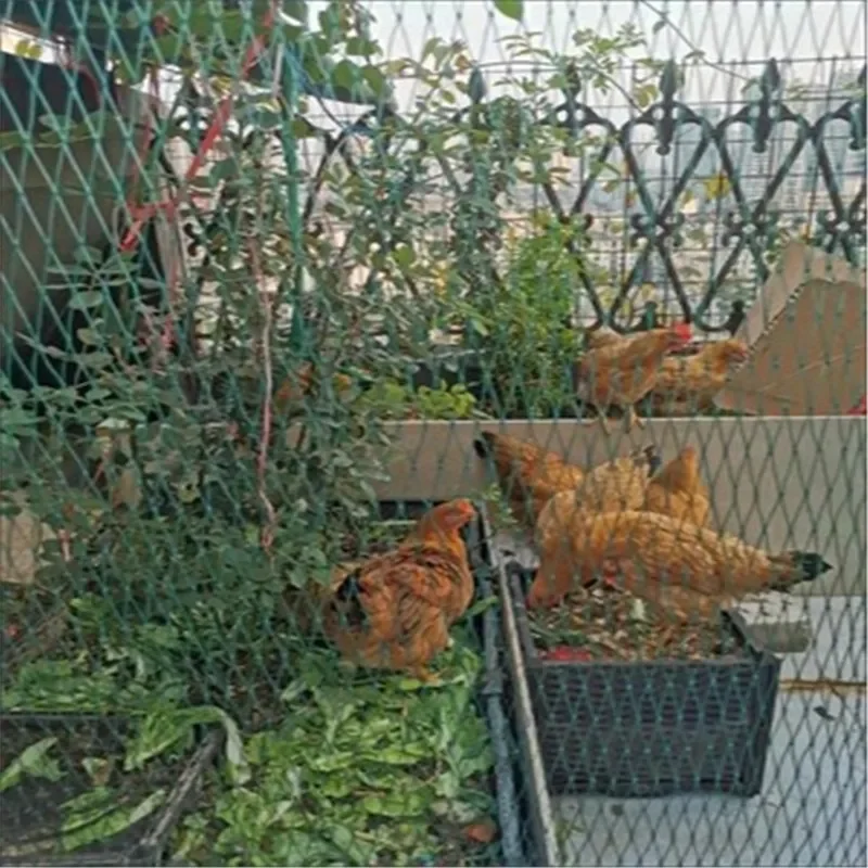 Garden Net Garden fence net Blue Garden fence Gardening net Bird net Chicken net Decorative Grape bird net
