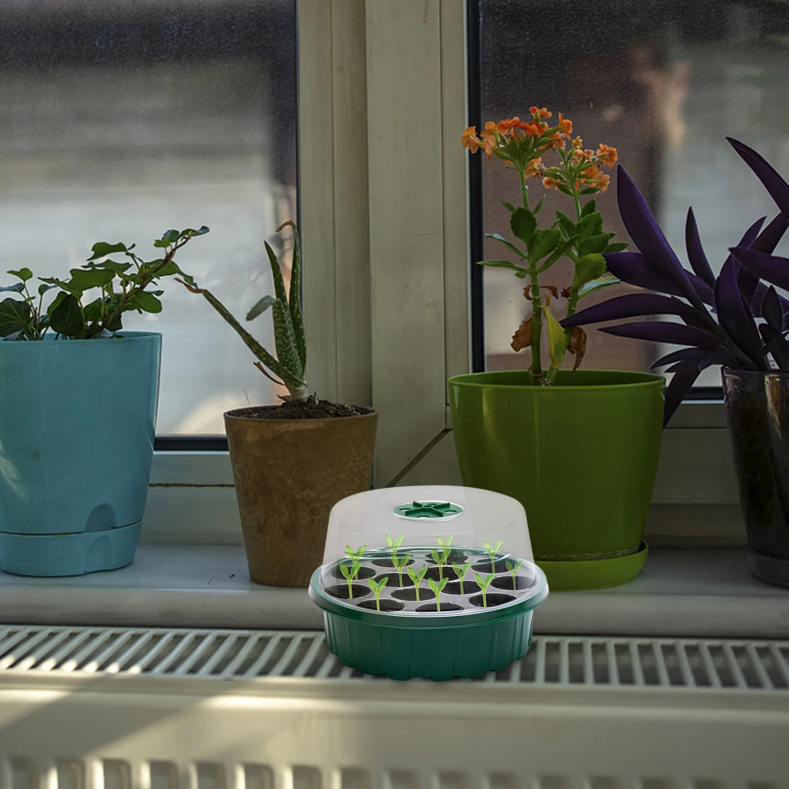 

2Pcs Plant Germination Trays 13-Hole Sowing Tray Nursery Growing Trays Plastic Multi-Hole for Seeds Sprouts Growing