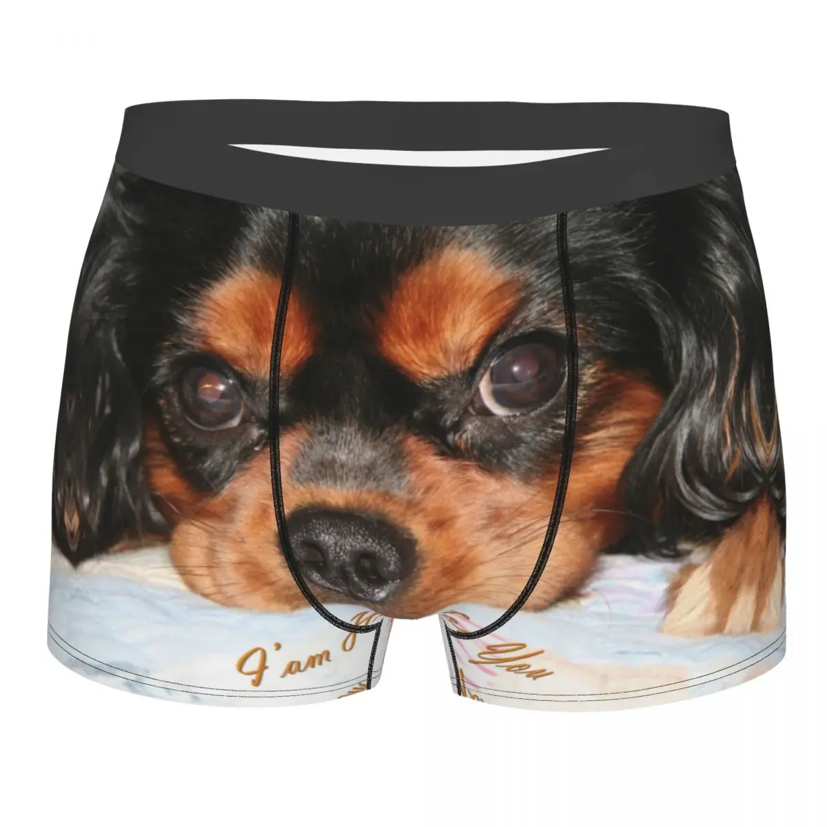 Custom The Cavalier King Charles Spaniel Puppy Underwear Men Print Animal Dog Boxer Briefs Shorts Panties Soft Underpants