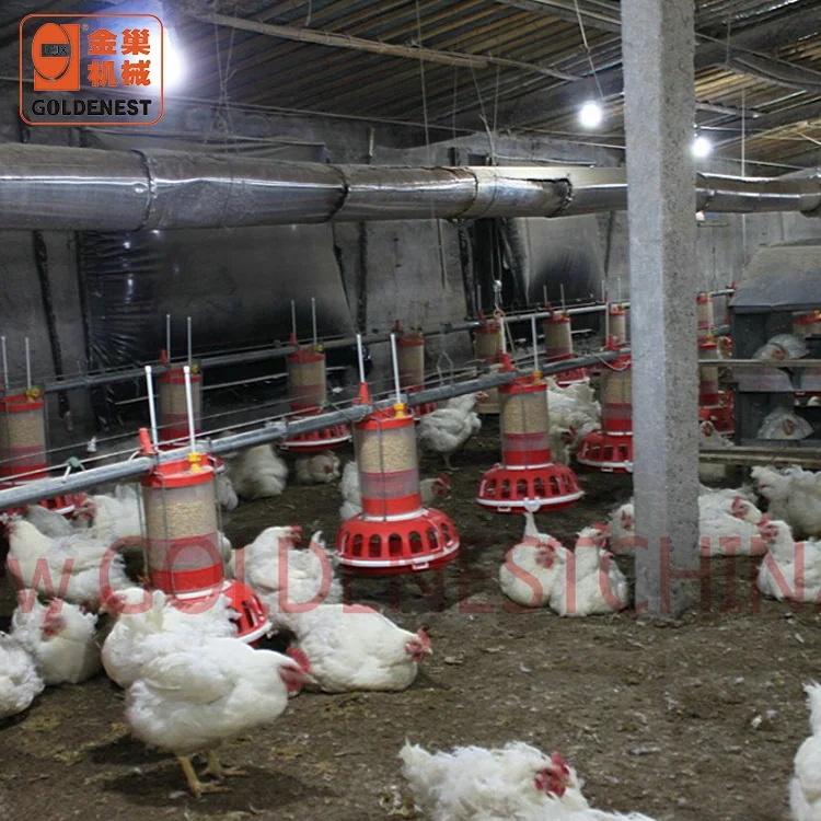 

Goldenest Broiler Breeder Automatic Farming Equipment