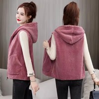 Korean Hooded Fleece Vest Jacket 2025 New Autumn Winter Women Sleeveless Jacket Lady Casual Warm Soft Waistcoat Female