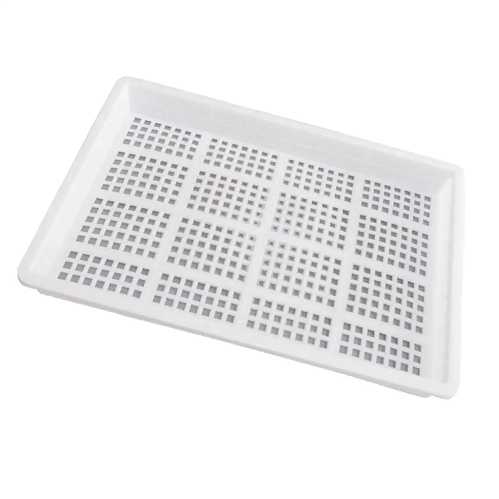 Seed Starting Plant Propagation Germination Trays Establish A Plant System