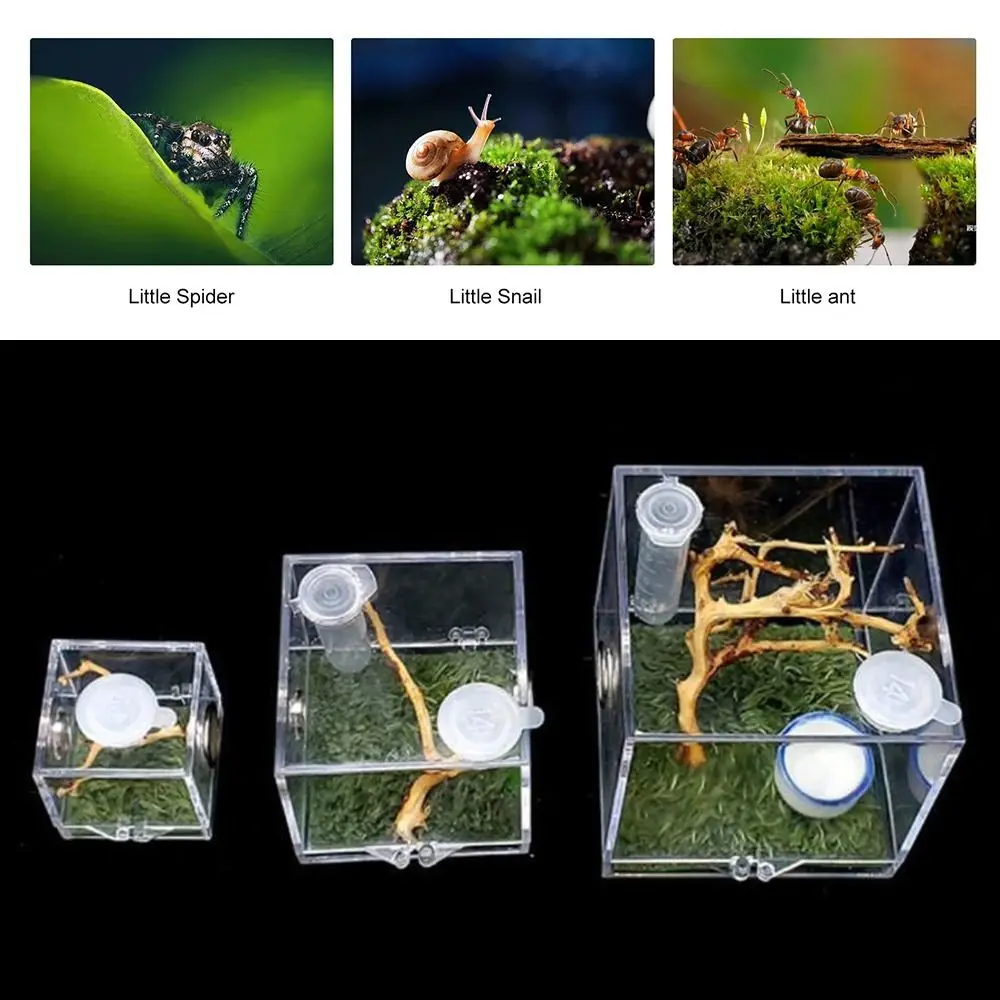 Plastic Transparent Jumping Spider Habitat Acrylic Breeding Box Cage for Spiders Small Insects