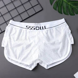 Sexy Men Ice Silk Seamless Breathable Briefs Fine Mesh Perspective Shorts Underwear Pouch Underpants Casual Loose Panties