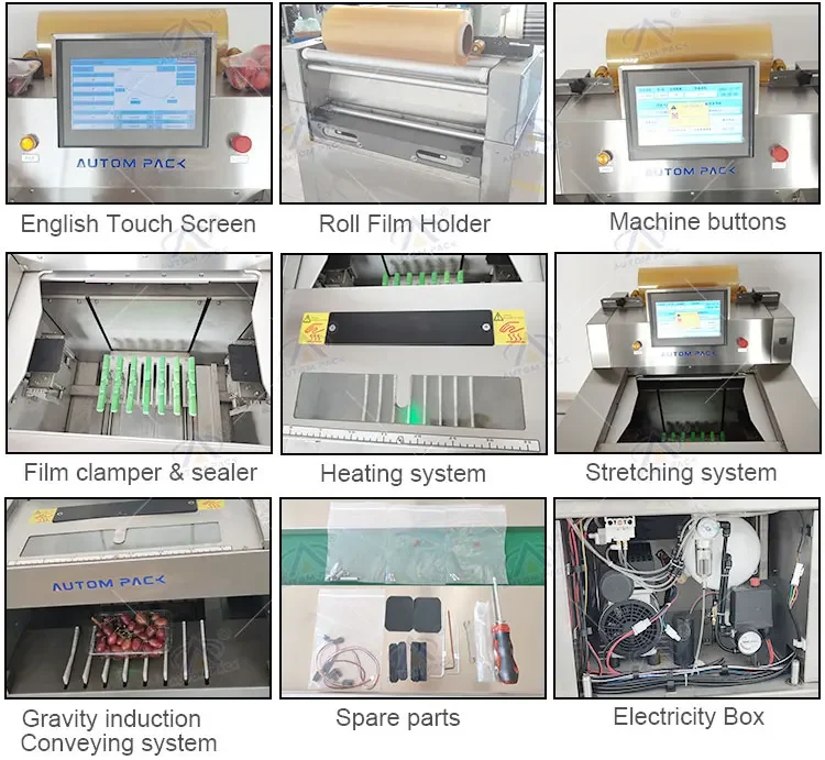 High Quality Fresh-Keeping Film Automatic Food Tray Fruit Vegetable Cling Film Stretch Film Food Tray Packaging Machine
