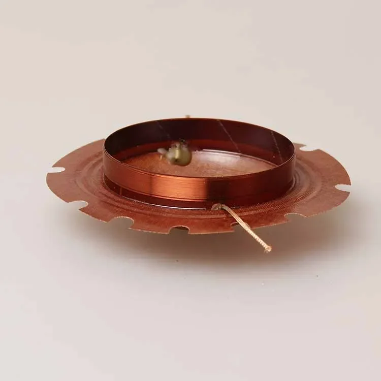 200 واط 66 مللي متر المتكلم الحجاب الحاجز القرن مكبر الصوت فيلم الصوت لفائف القرن المتكلم الحجاب الحاجز Gravure أ أ