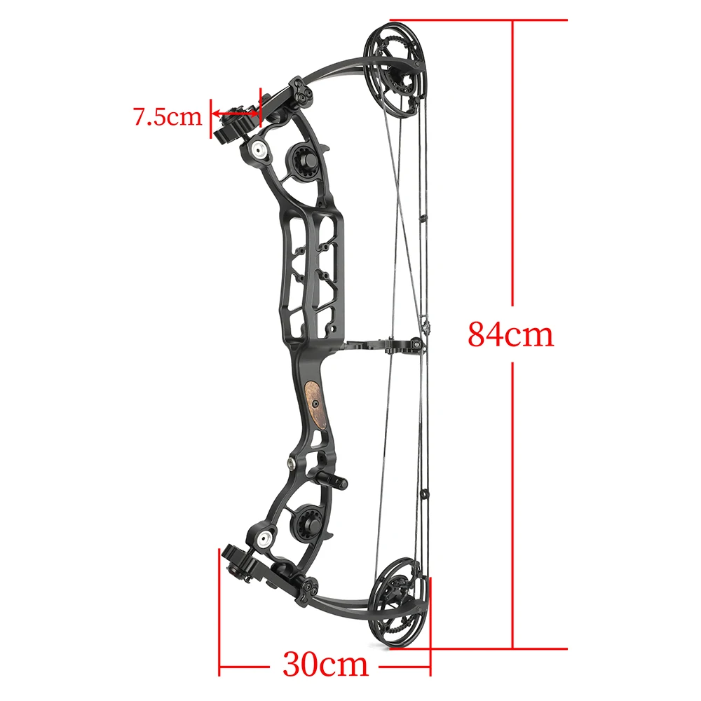 Dual Purpose Compound Bow 45-65lbs/50-70lbs Let-off 80% for Arrow/Steel Ball Outdoor Adults Shooting Hunting Archery Accessories