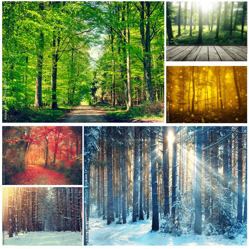 

Natural Scenery Photography Background Forest Landscape Travel Photo Backdrops Studio Props 22331 SELI-03