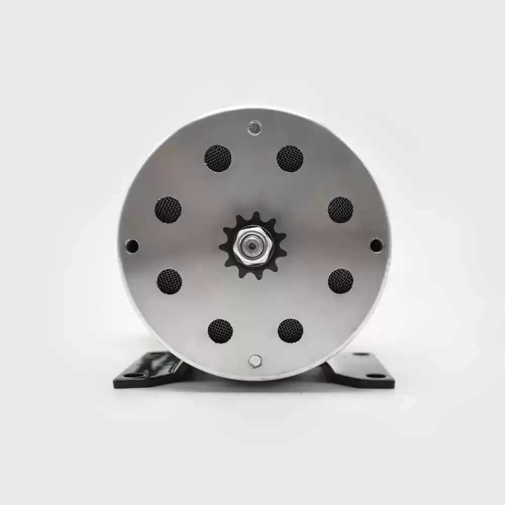 500W 750W 1000W 24V 36V 48V Electric Shaka Kart Beach Electric Vehicle High Speed Brushed 1pcs