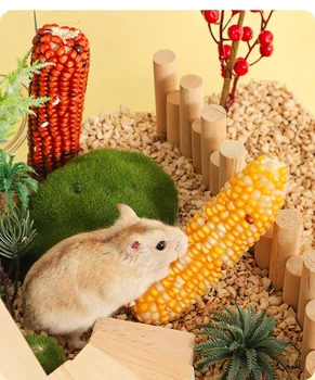 3 조각 귀여운 햄스터 토끼 씹는 장난감 옥수수 어금니 장난감 물린 갈기 치아 장난감 옥수수 치아 청소 어금니 장난감 애완 동물 용품
