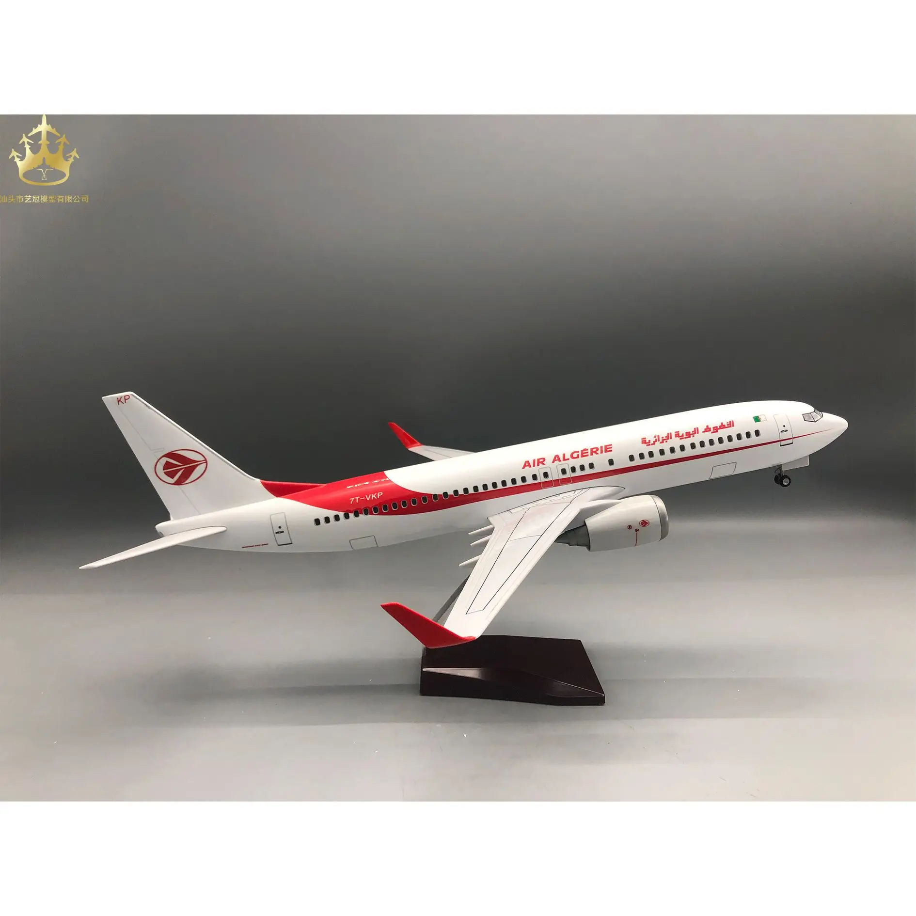 

Модель самолета Air Algerie Boeing 737, 47 см, статическая, с LED-подсветкой и шасси, для авиационной коллекции и демонстрации