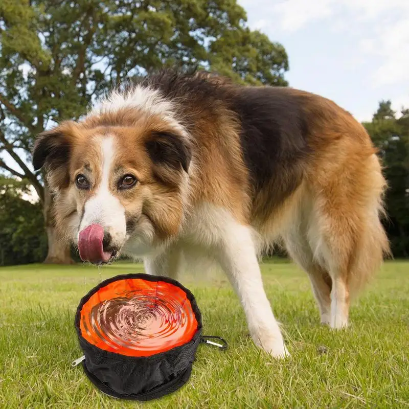 Dog Bowls For Travel Collapsible Travel Dog Bowls With Carabiner Portable Dog Travel Bowl Pet Watering Food Feeding Dish For