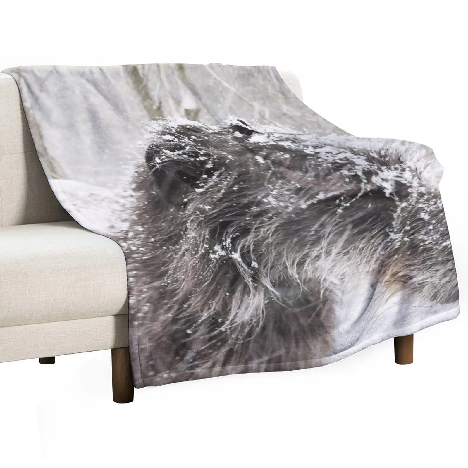

Isla In the bleak winter Throw Blanket valentine gift ideas Plush Flannels Baby Blankets