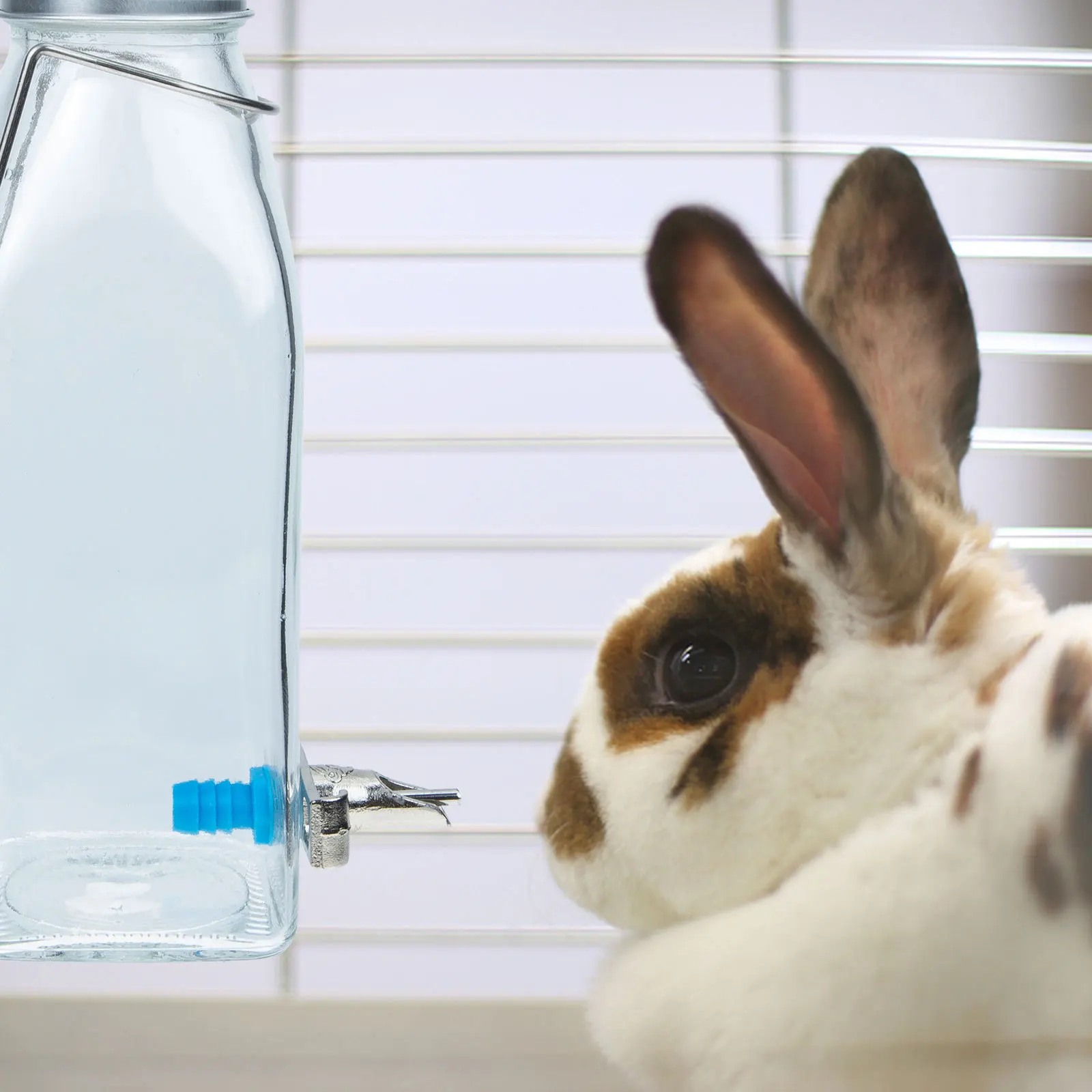 

Water Bottles Pet Dispenser Rabbit Drinking for Rabbits Cage Hanging Feeder Bunny