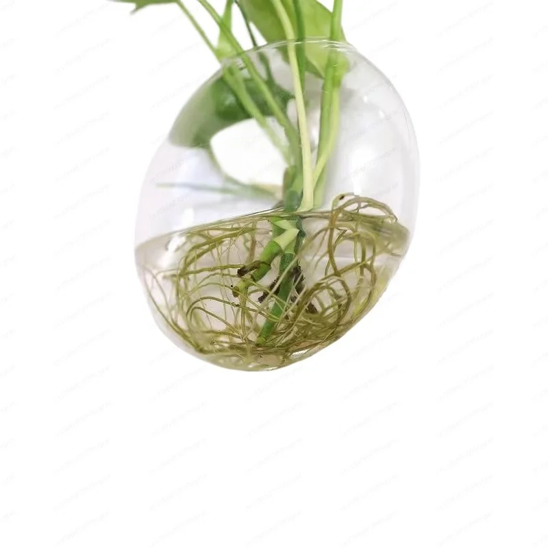 

Креативная настенная стеклянная ваза с плоским диском, набор из 2/4/6 для гидропонных растений и сухоцветов, современный домашний декор