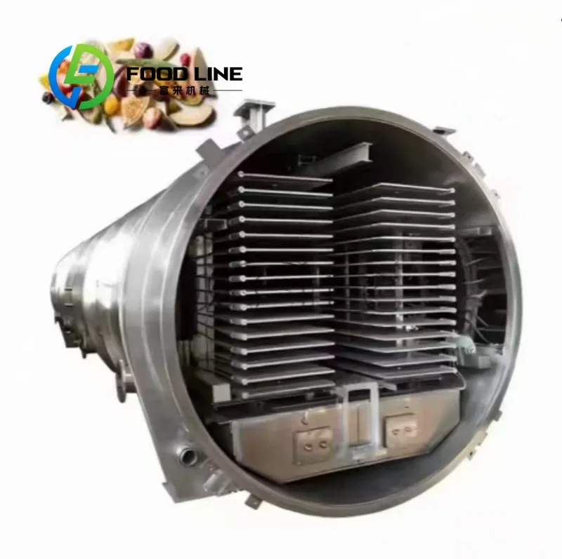 Vacuum Freeze Dryer Vacuum Leak Alarm System Reminds Operators To Check Sealing Gasket When Air Tightness Drops Abnormally