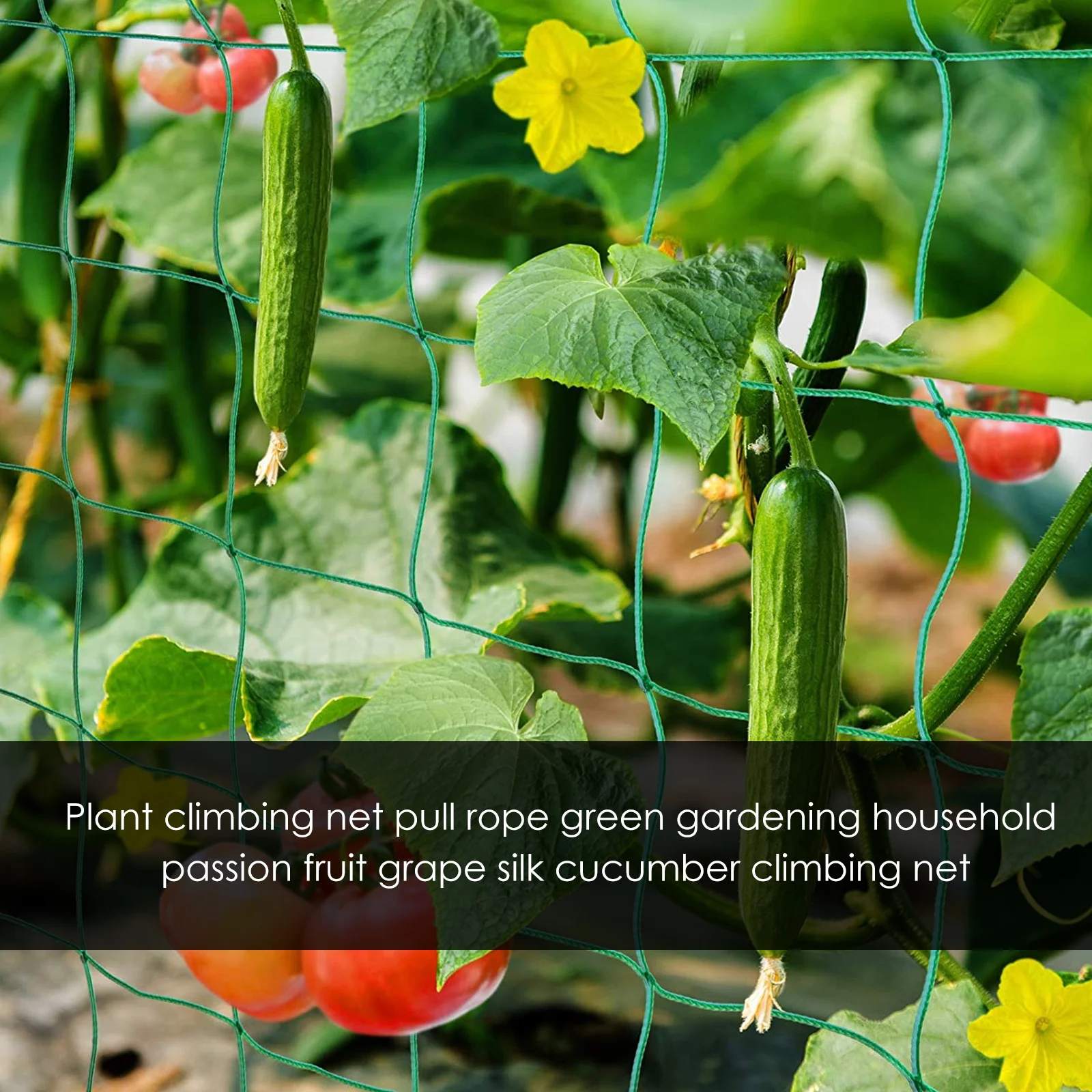 

Climbing Net Plant Trellis Garden Support For Vines Tomatoes Cucumbers Beans Plant Climbing Net Garden Trellis Netting