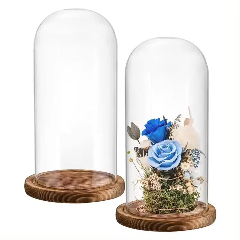 

Dia15cm18cm Dollhouse Miniature Decor Flower Display Glass Display Bell Jar with Brown Wood Base Dollhouse Decoration Accessorie