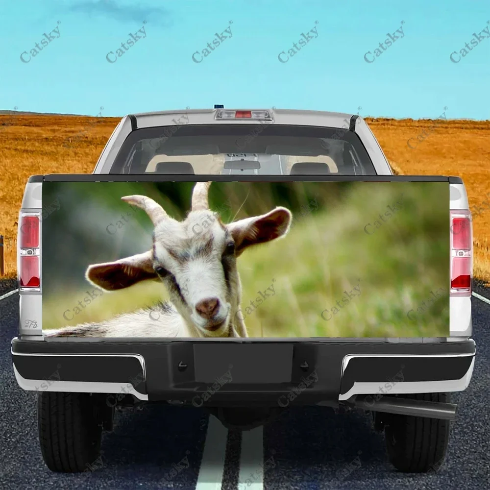 goat animal car sticker truck rear tail modification custom suitable for SUV car truck packaging sticker decal