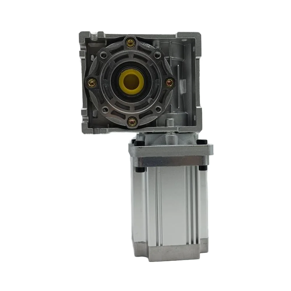 High Torque 24V 48V 200W 400W 600W 750W Brushless DC Worm Motor RV for Mobile Electric Vehicle Lawn Mowers