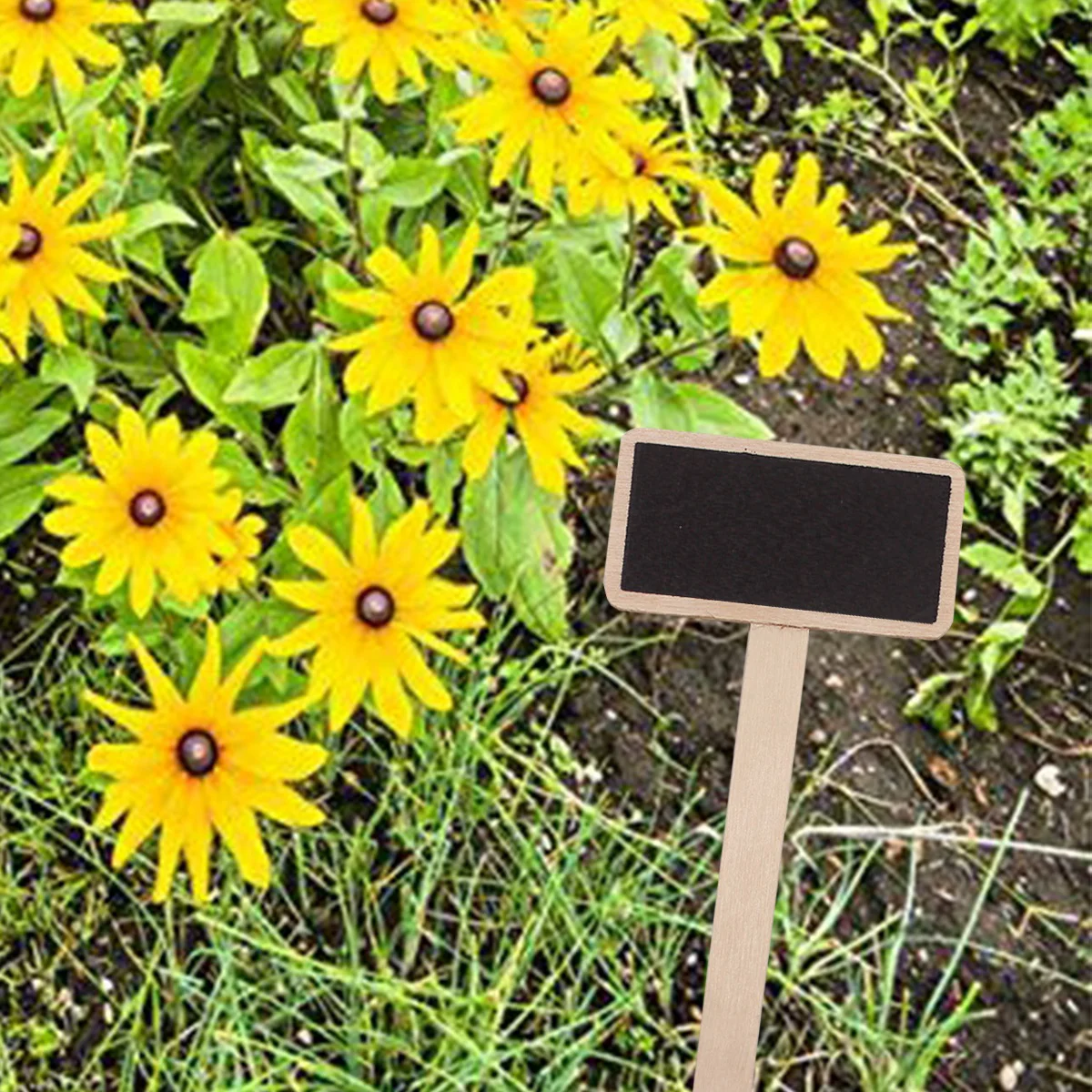 家の装飾のためのミニ木製黒板、創造的な装飾黒板、庭の花と植物のポットタグ、20個