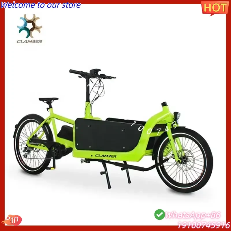 2026Hot China Manufacturer Electric Two Wheel Cargo Bike Electric Bicycle