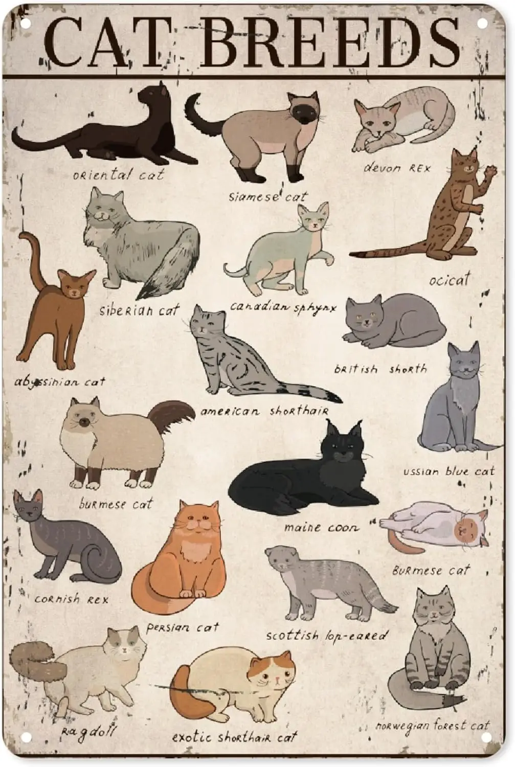 Retro Metal Tin Sign Cat Breeds Aluminum Wall Art Posters Funny for Restaurant Cafe Pub Rustic Kitchen Shop Coffee Station Decor