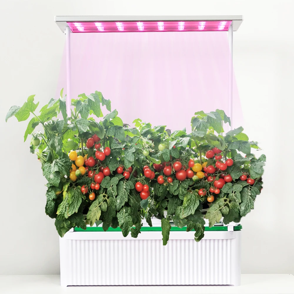 Big Smart Indoor Hydroponic Growing Systems LED lighting Grow Box Easy Assembled Greenhouse Garden Kit Mini Greenhouse