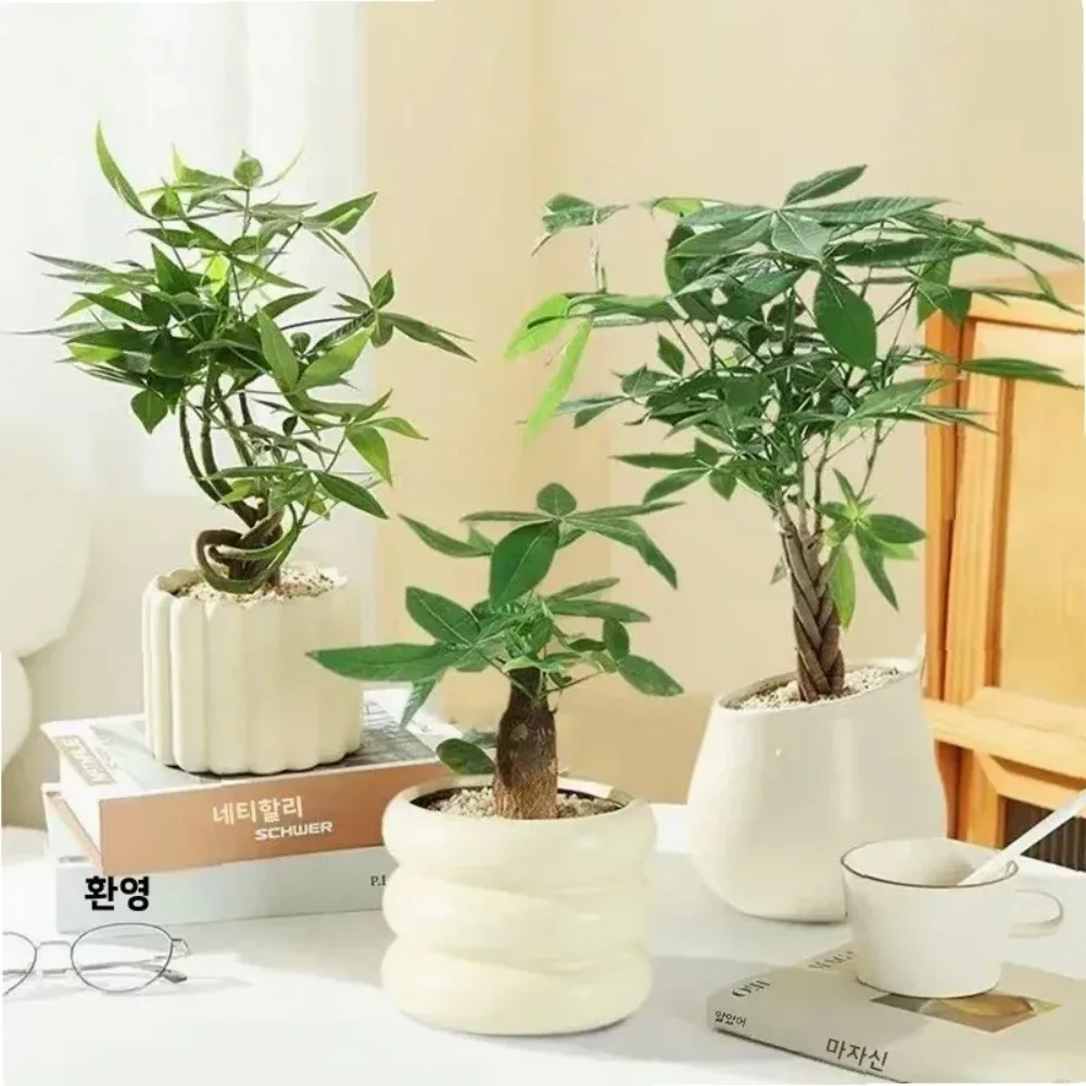 INS Flowerpot Ceramic Pots for plants Flower Vases Home Decoration Indoor Succulent Plant Potted