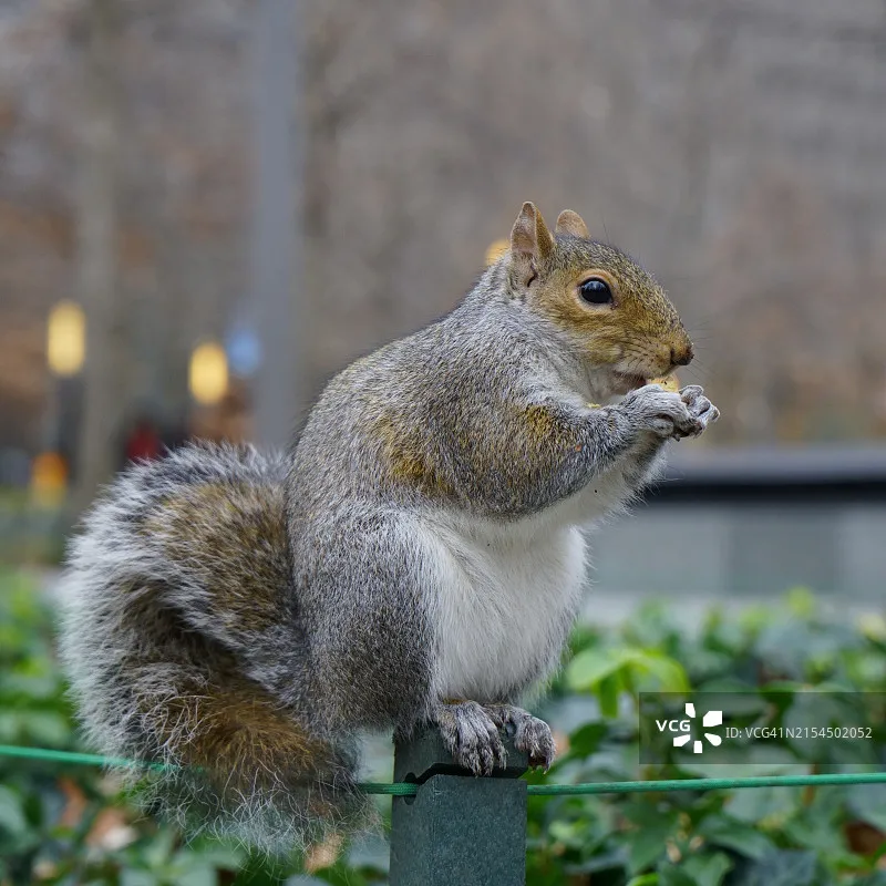 Emax Tinyhawk Iii P…