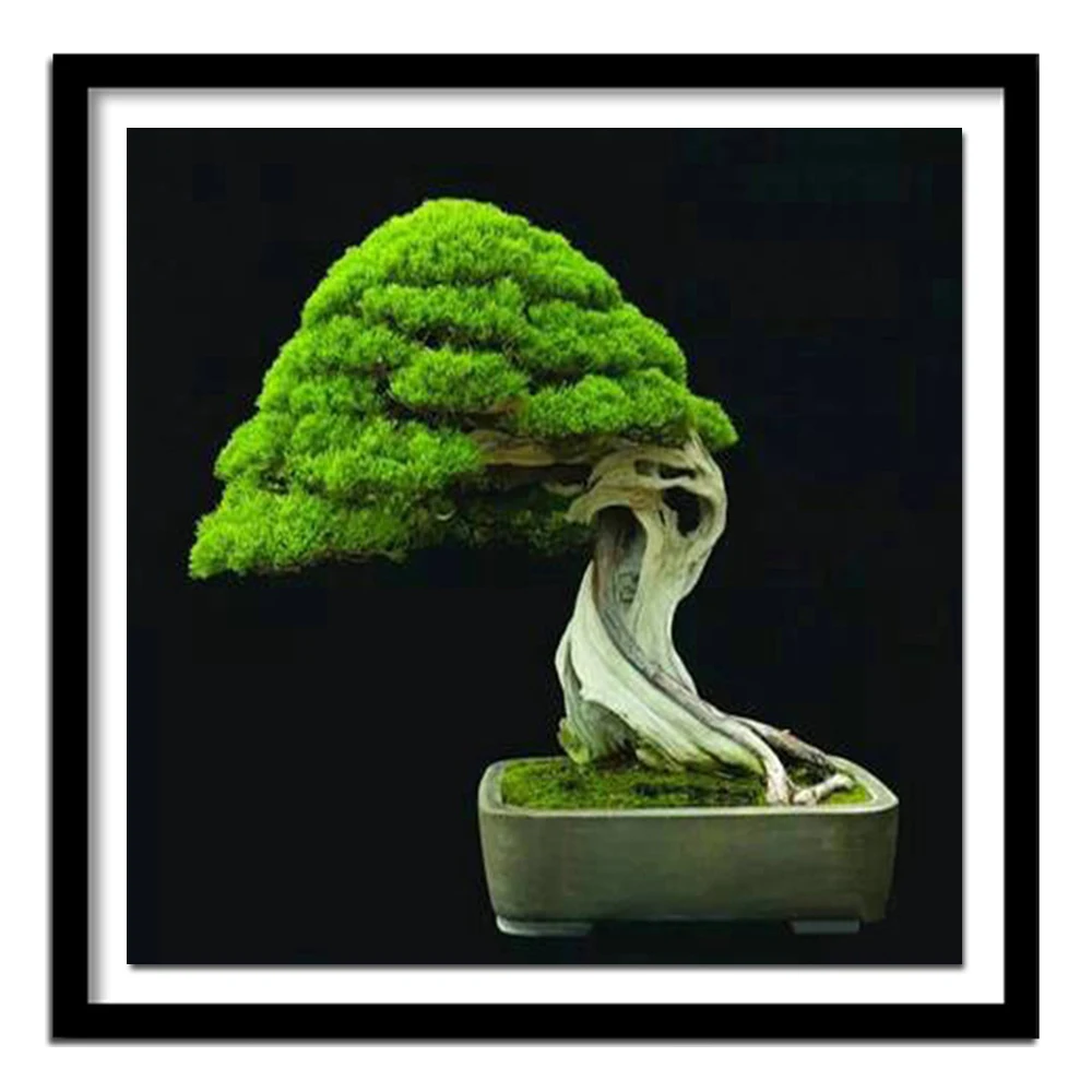 5D Diy Diamond Painting Cross Stitch Evergreen Tree Bonsai Diamond  Full Diamond Embroidery Rhinestone Gift Decoration Kit