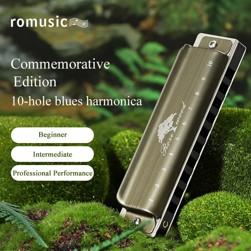 Romusic Blues Harmonica Mouth Organ 10 Hole C Key with Case, Diatonic Harmonica for Professional Player, Beginner Students gifts