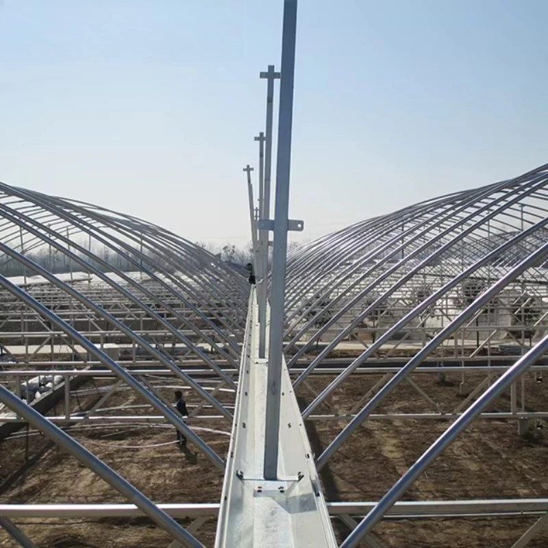 الدفيئات الزراعية نوع الزراعة المائية التجارية الدفيئة سعر البيت الأخضر