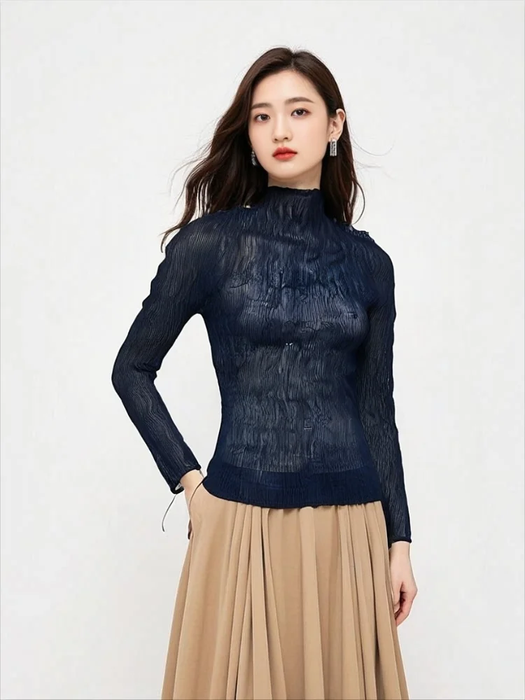 

Miyake Pleated Spring and Autumn New Semi Transparent Fashionable Long Sleeved Top Women's T-shirt Willow Pleated Base Shirt