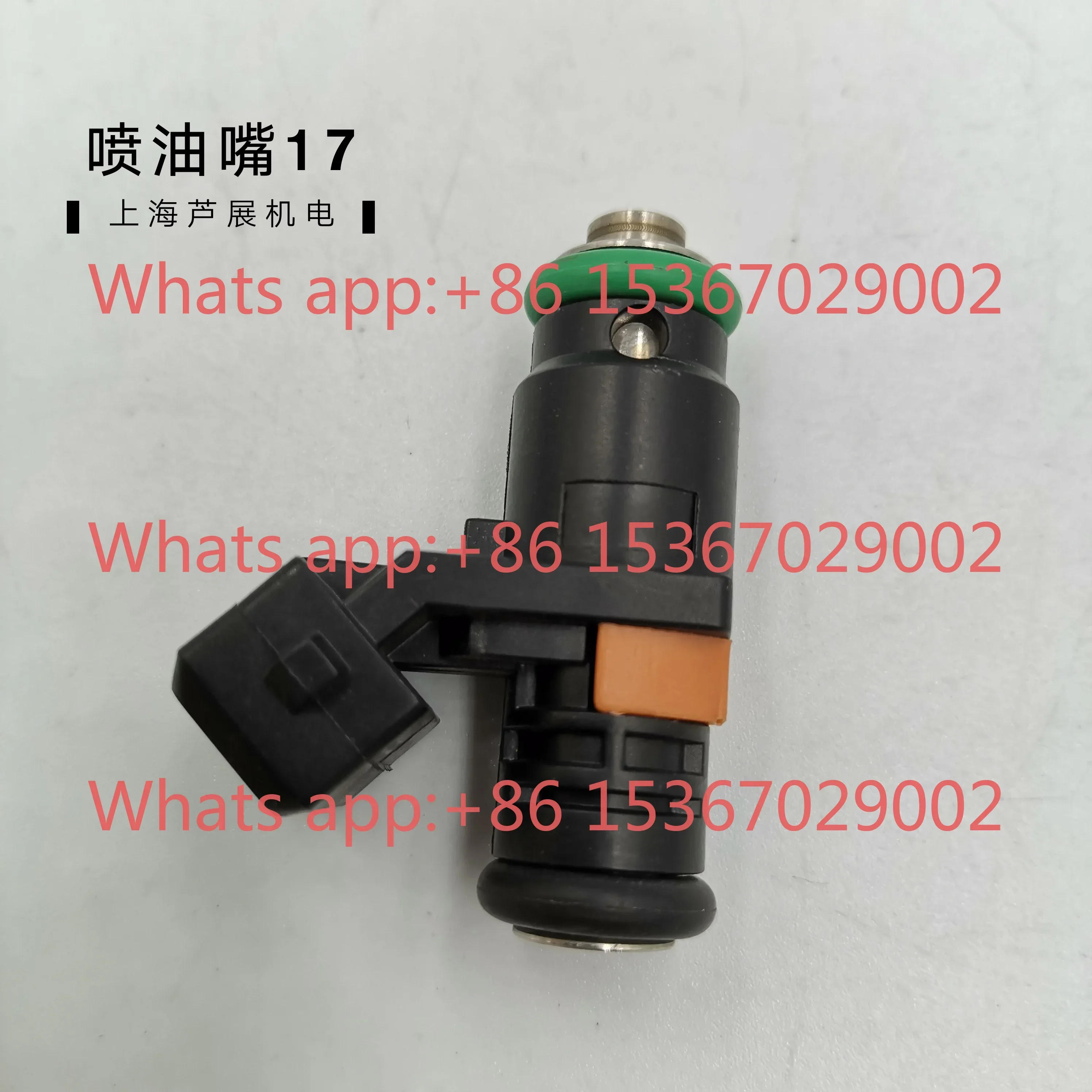 Taiwan Guangyang EFI motorcycle 2-hole fuel injector 17