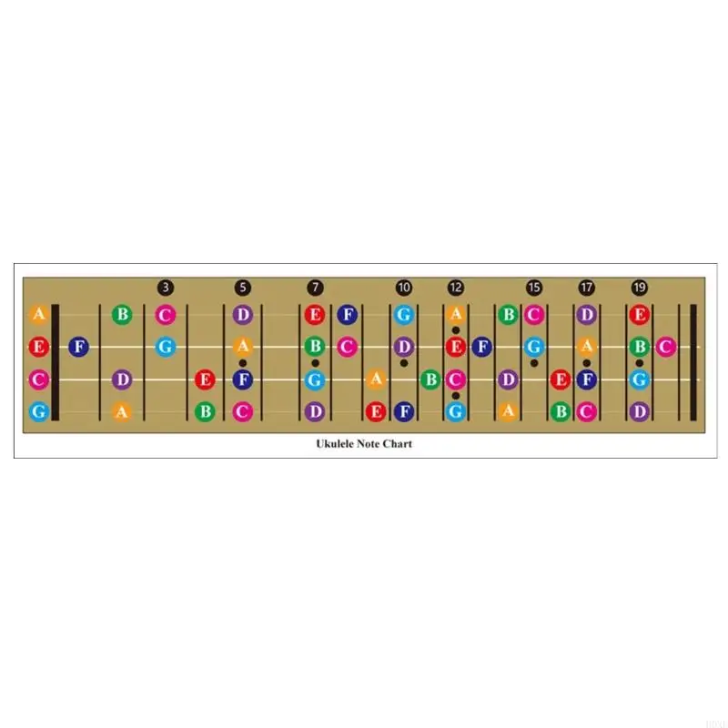 H0XE Ukulele Chord Chart Poster Instructional Chart Beginner Fingering Diagram Ukulele Wall Chart Ukulele Learn Accessorys