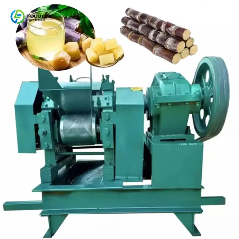 Customized Low Price Retro Sugarcane Juicer Cost Effective Small Processing Equipment For Beverage Shops