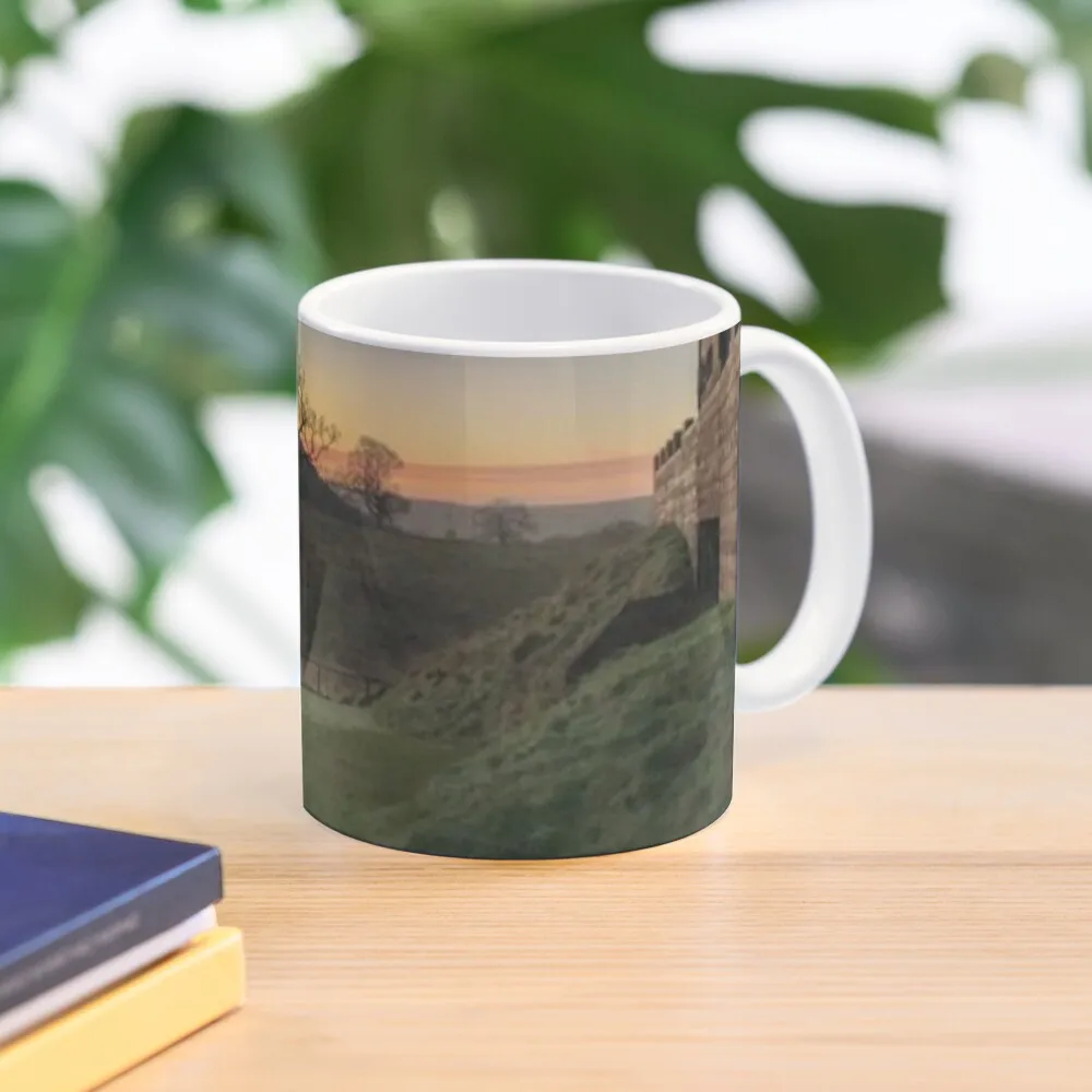 

Guarding the fort Coffee Mug Travel Porcelain Creative Cups Aesthetic Cups Mug