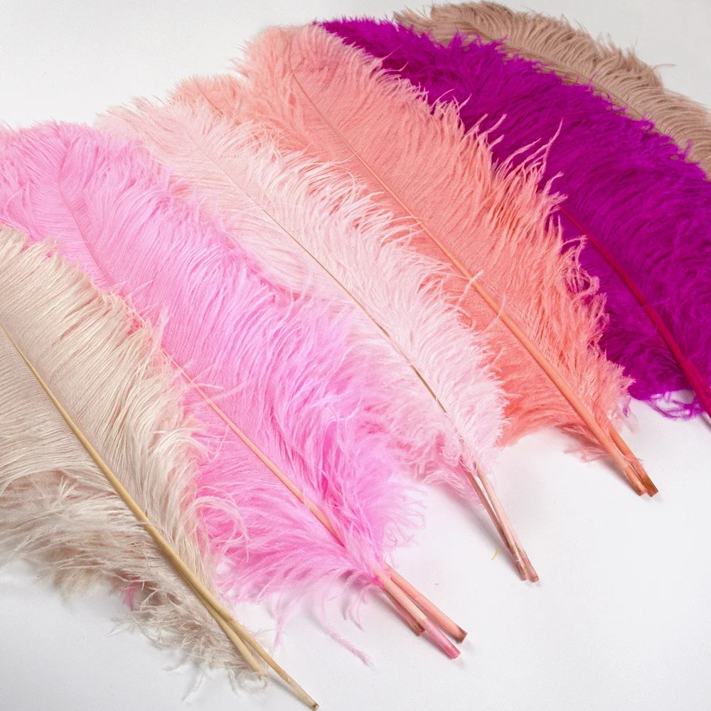 

Natural Fluffy Ostrich Feathers Plumas Decorativas Feather Handicraft Making Feathers Decoration Wedding Centerpieces for Tables