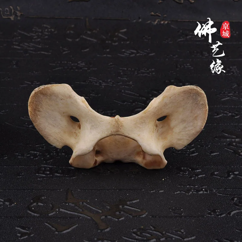 Cat Spine Bone Pendant Butterfly Bone King Kong Xingyue Bodhi Buddha Beads Ornaments  diyAccessories