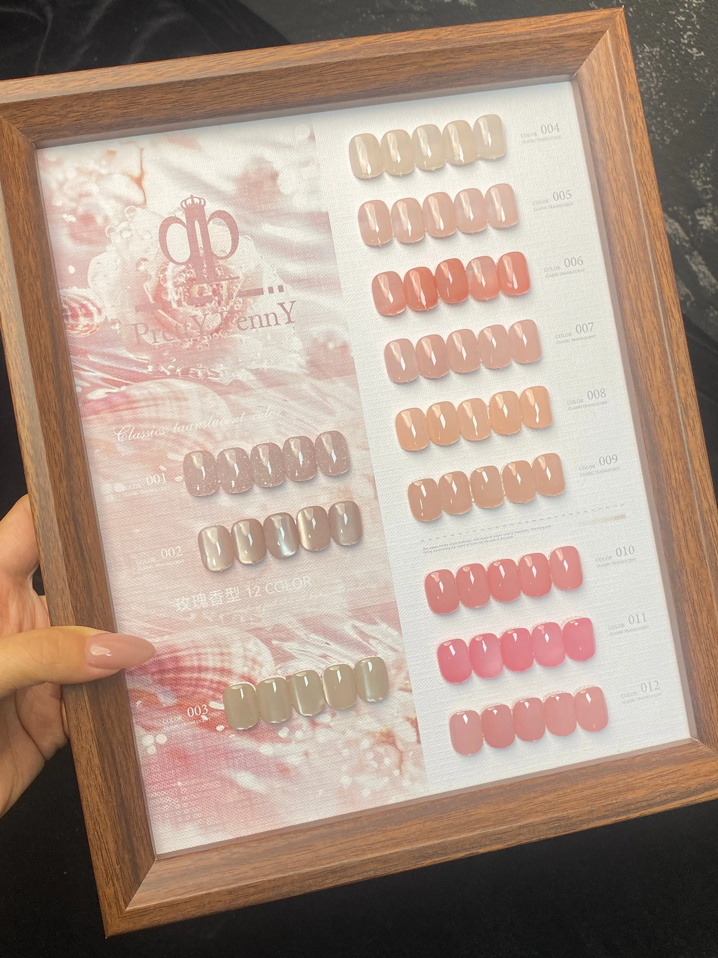 

PrettyPenny 12 Colors Nail Gel Moonlight Cat Eye Jelly Color 2025 New Hot Sale Nail Art Non-toxic UV Gel Nail Salon Wholesale