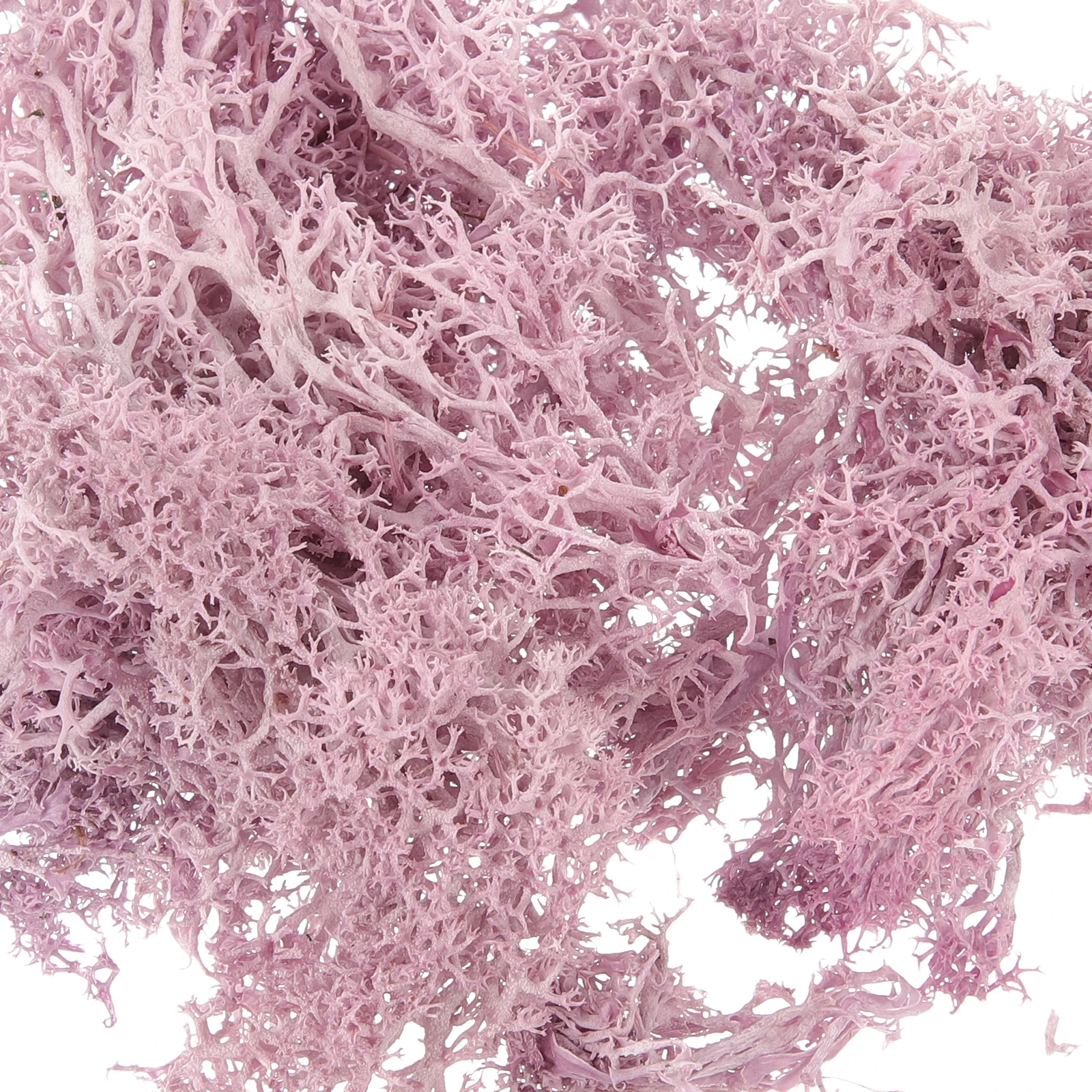 

OATIPHO Artificial Moss for Plants Decor Faux Potted Landscape Photo Frame Background Wall Kit