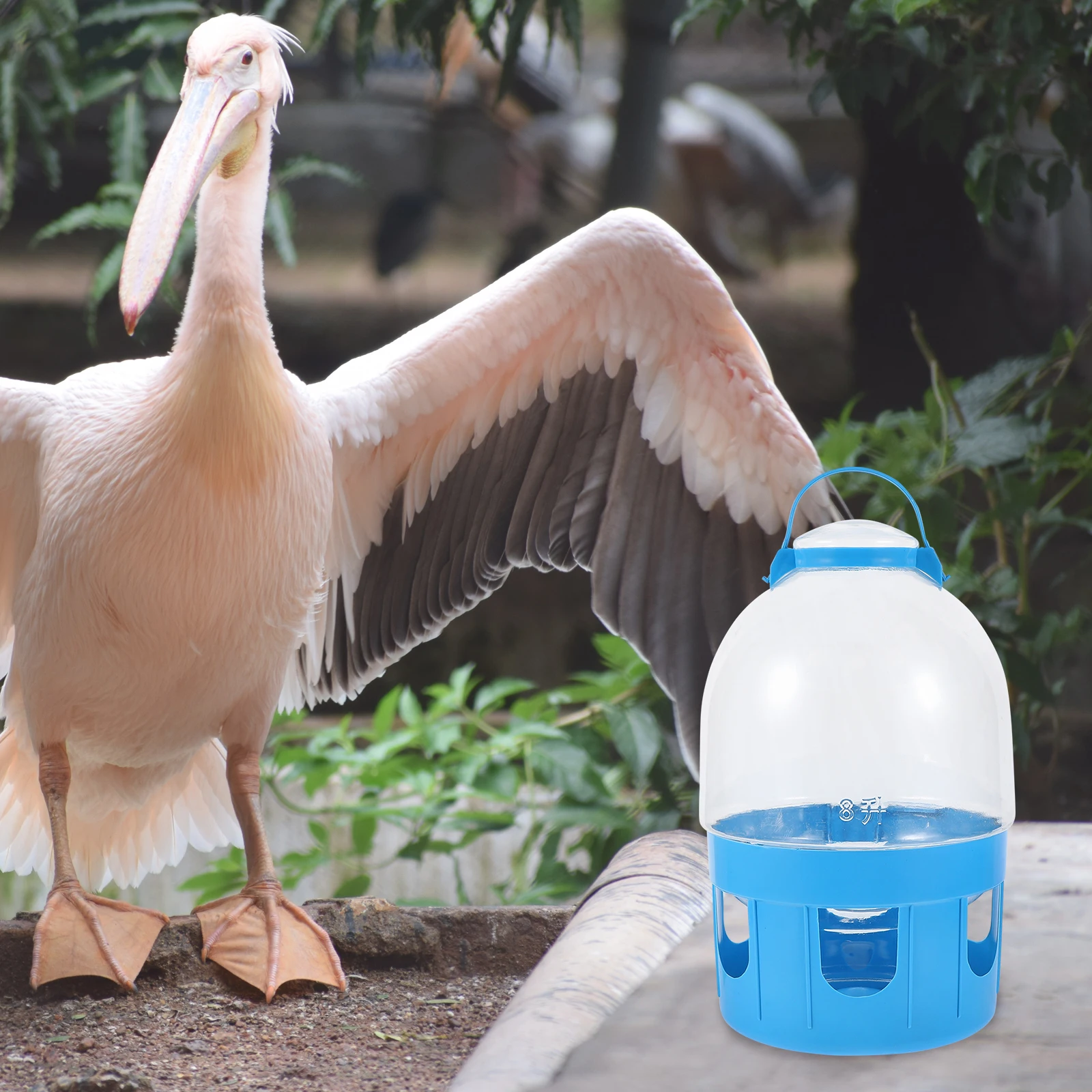 

1pc Pigeon Water Feeder Large Capacity Drinking Bowl Round Design Removable Easy Clean Bird Feeder Dove Kettle PVC Pets Home