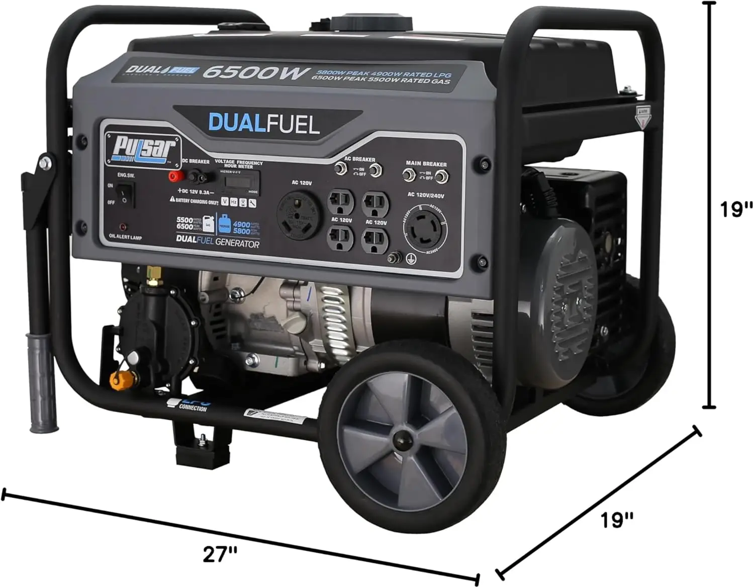 Portable Gas and LPG Dual Fuel Generator 5500 Rated 6500 Peak Watts, RV Ready, CARB Compliant, Black&White