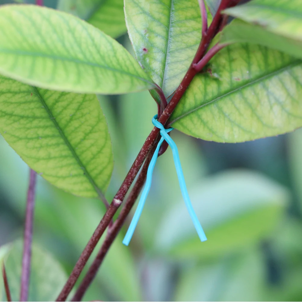 100PCS 10-Colour Garden Cable Ties Reusable Oblate Iron Wire Tie for Flower Plant Climbing Vines Multifunction Coated Fix String