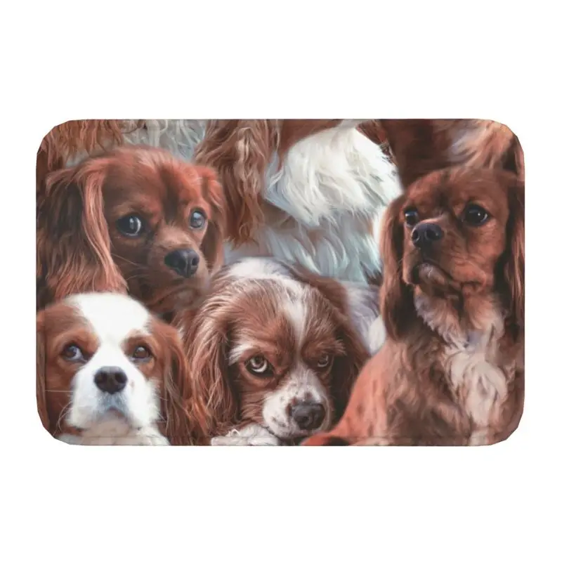 Cavalier King Charles Spaniel Doormat Non-Slip Bath Kitchen Mat Garden Garage Floor Door Entrance Carpet Rug