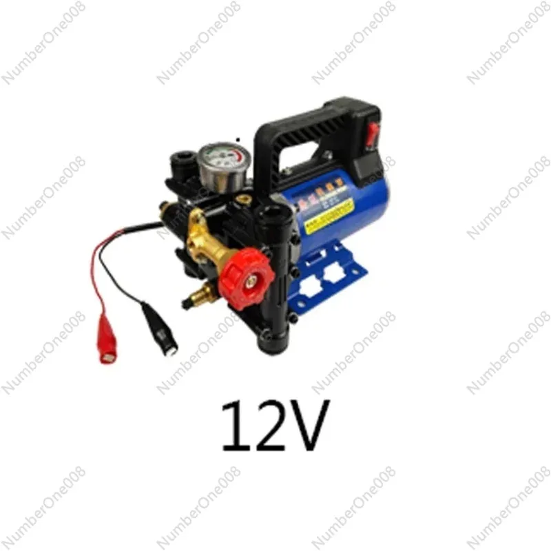 Electric High Pressure Pump Spraying Car Wash Irrigation Sprayer 12V/24V/60V/72V/220V Plunger Agricultural Sprayer