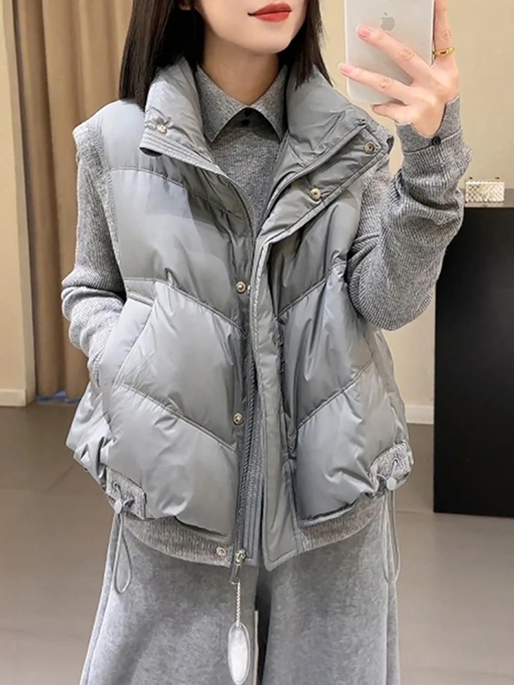 Ay Thiened Stand Collar Vest Buitenkleding Dames Winter Nieuw Sle Small Cro Modieus Schouderpad Vest Pendel Sle Rits...