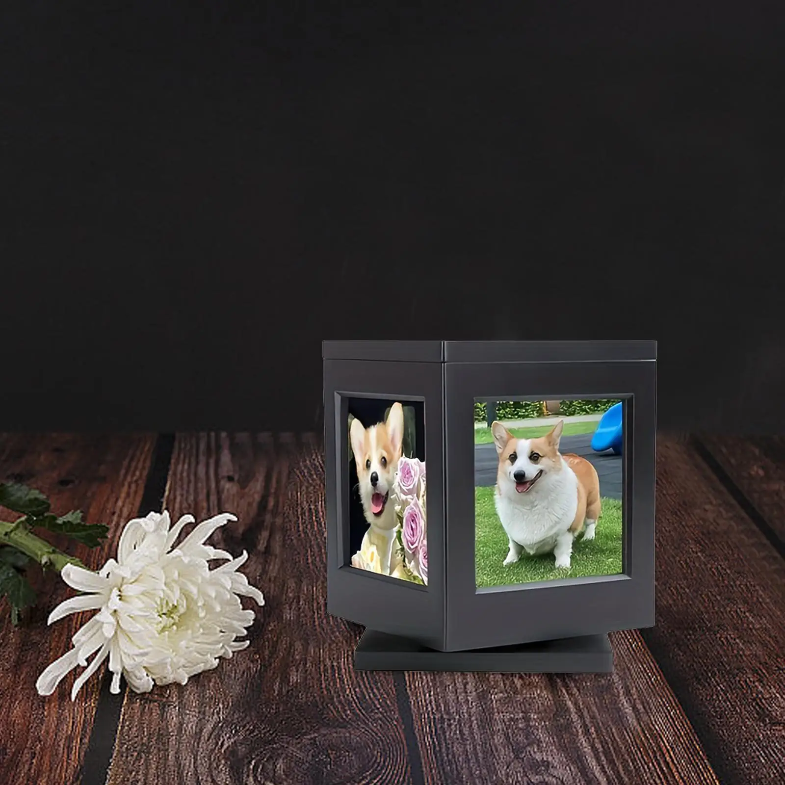 Wooden Pet Memorial Urn Rotating Cat or Dog Memorial Box Loss of Dog Sympathy Urn Pet Cremation Box Dog Cat Urn for Kitty Cat